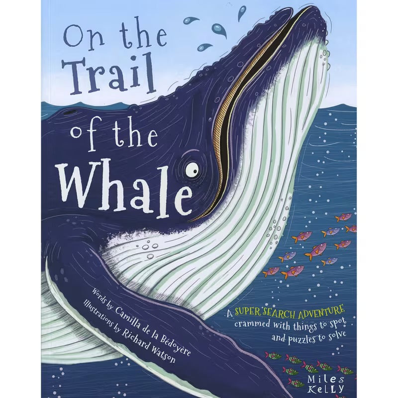 On The Trail Of The Whale