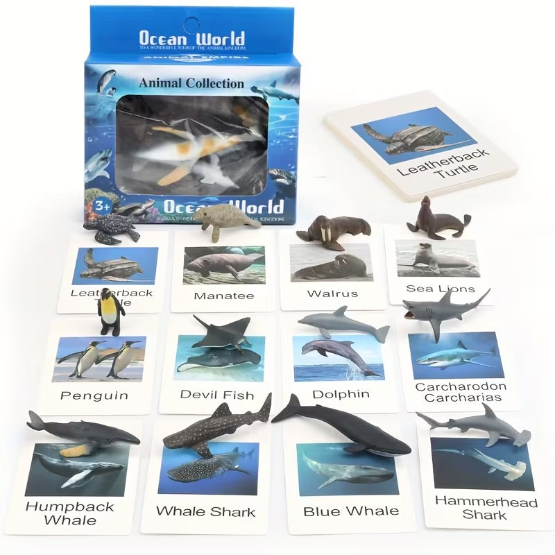 Ocean Animal Matching Card Set