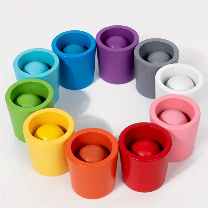 Wooden Colour Matching Balks and Cups