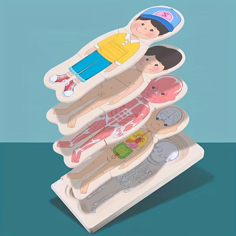 Boys Human Anatomy Puzzle
